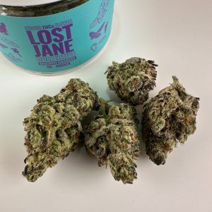 Lost Jane Biscotti Gushers Exotic THCA Flower - Indica