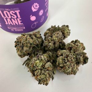 Lost Jane Purple Lemonade Exotic THCA Flower - Hybrid