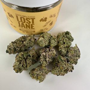 Lost Jane Vanilla Souffle Exotic THCA Flower - Indica