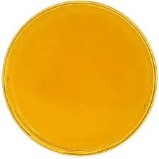 CBD distillate oil
