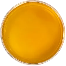 CBN distillate oil