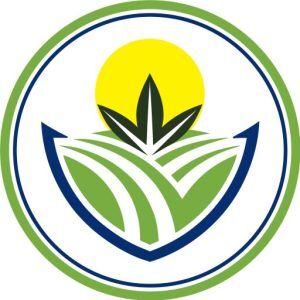 Bulk CBD Distributors Profile Photo