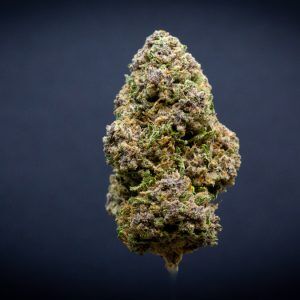 Banana Breath Light Assist THCA Flower