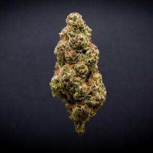 Candy Cane Light Assist THCA Flower