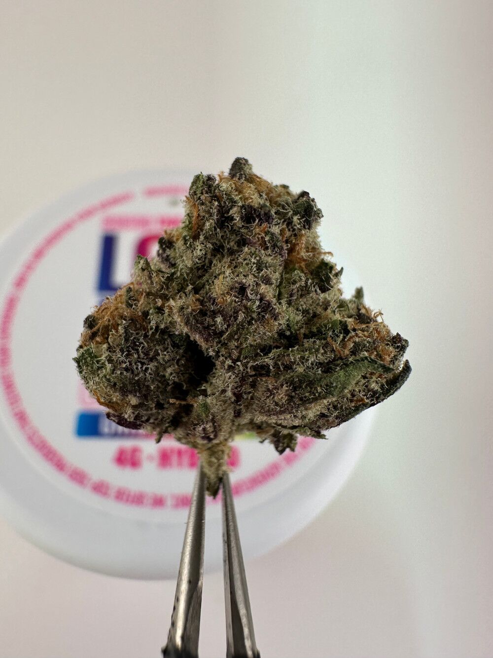Lost Jane Unicorn Cake Exotic Thca Flower - 4G - Hybrid