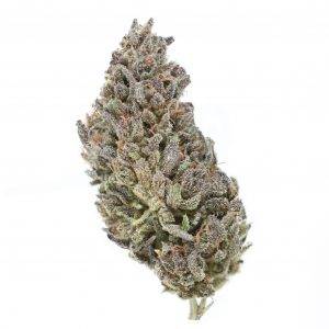 Thca Flower Bulk &Amp; Wholesale Supplier
