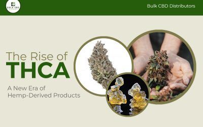 The Rise Of Thca: A New Era Of Hemp-Derived Products