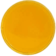 THC Free Broad Spectrum CBG Distillate