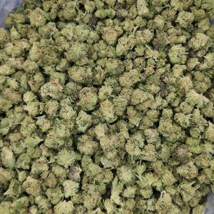 Bulk Banana Punch THCA Flower Smalls on Light Assist