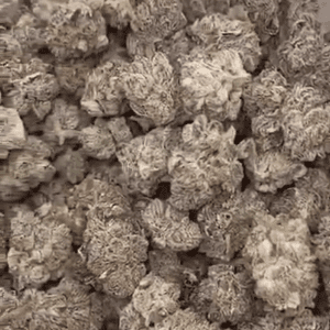 LA Pop Rocks Exotic THCA Flower