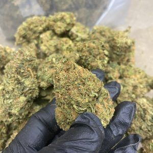 Bulk Sour Candy CBD Flower