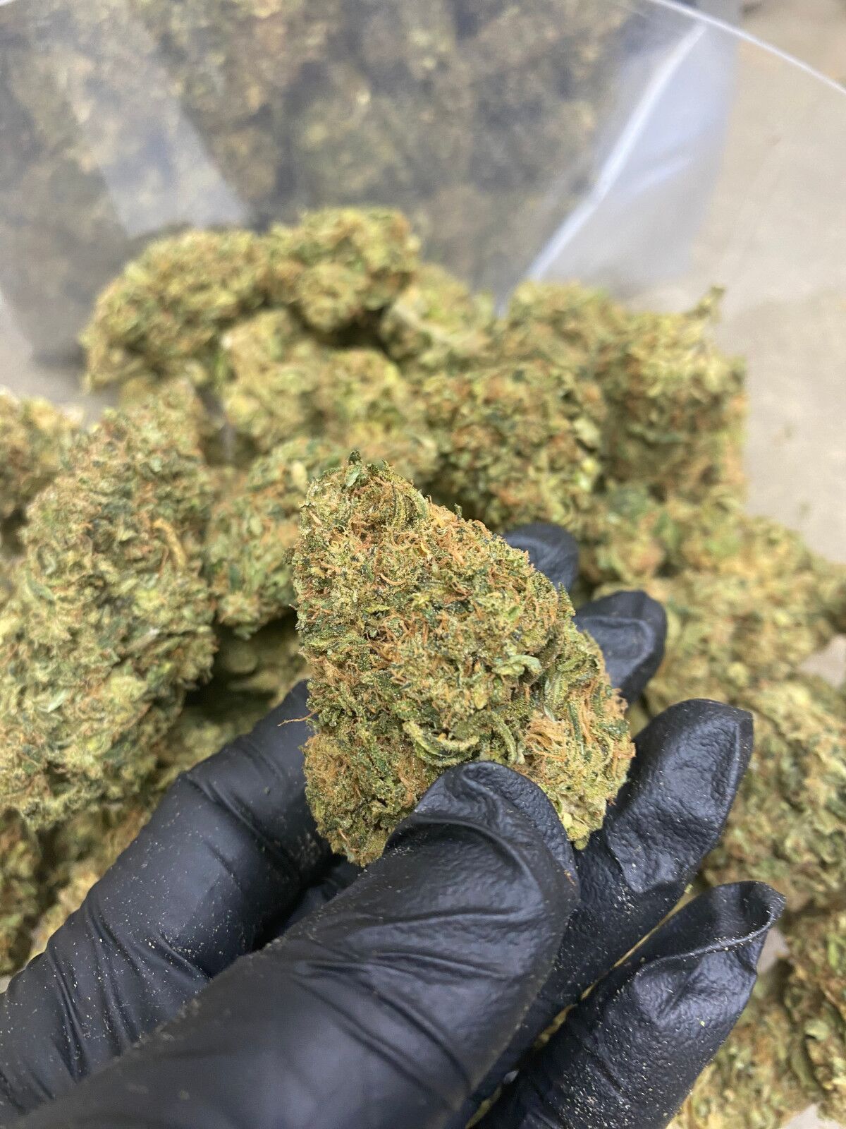 Sour Candy Cbd Flower Bulk Sour Candy Cbd Flower