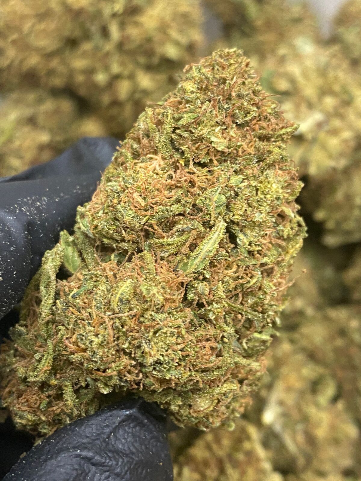 Sour Suver Cbd Flower Bulk Sour Suver Cbd Flower