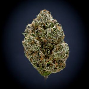 Super Runtz Indoor THCA Flower