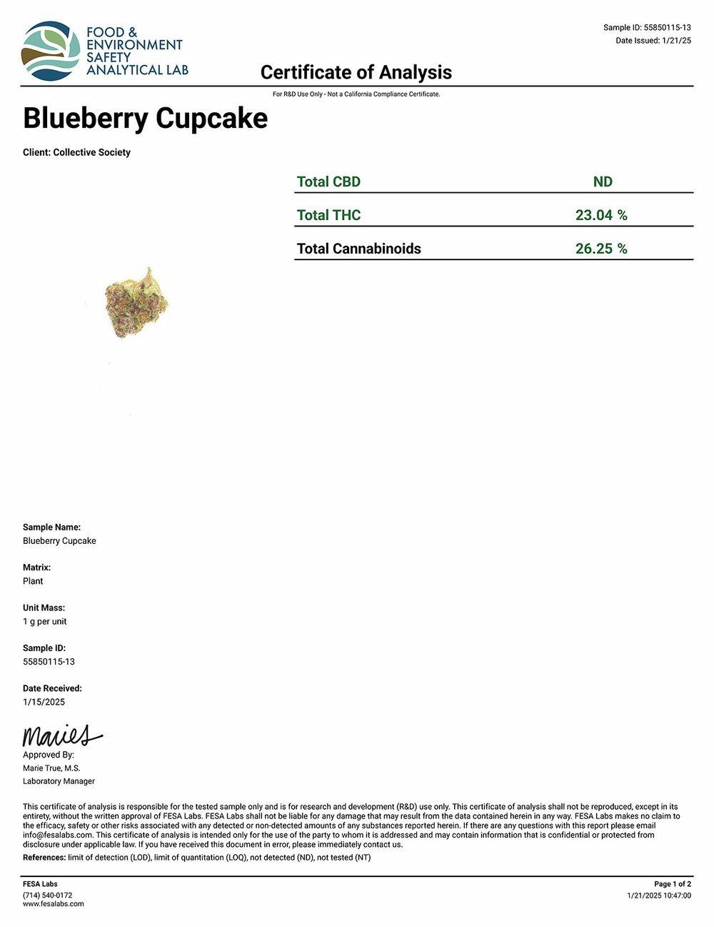 DoughLicious Blueberry Cupcake Exotic THCA Flower COA 1-21-25