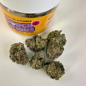 DoughLicious Hawaiian Runtz Exotic THCA Flower - Sativa