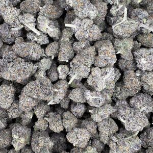 Black Runtz Indoor THCA Flower