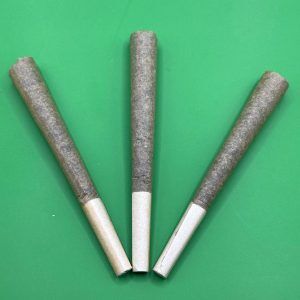 Three THCA hemp pre-rolls standing in a row with white filter tips