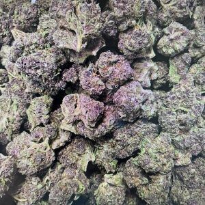 Mendo Purple Light Dep THCA Flower