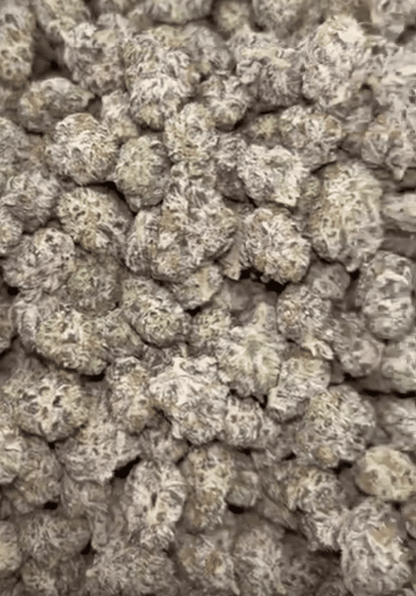 Black Ice Smalls Zaza THCA Flower
