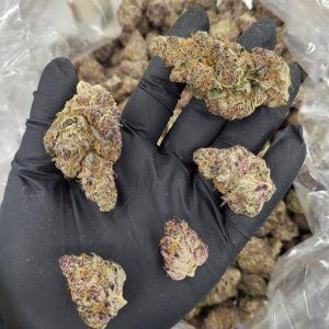 Blockberry Exotic THCA Flower