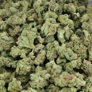 Garlic Juice Smalls Light Assist THCA Flower