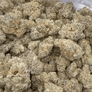 Garlicane Exotic THCA Flower