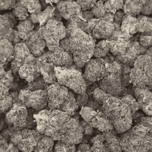 Jet Fuel Runts Exotic THCA Flower