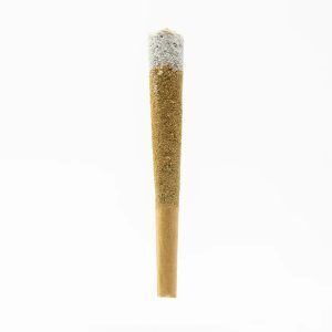 Coast THCa-Infused Diamond Tipped Pre Rolls