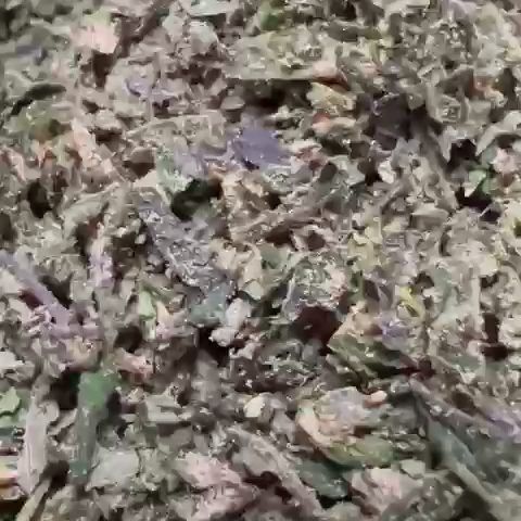 Durban Poison Light Assist THCA Trim