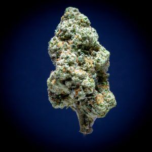 Dosidos Light Assist THCA Flower