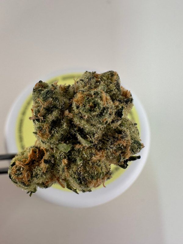 Lost Jane Turbo Lemon Cake Exotic THCA Flower - 4g - Sativa