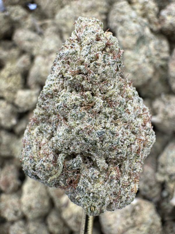 Cherry Gelonade THCP hemp flower buds for bulk wholesale, close-up