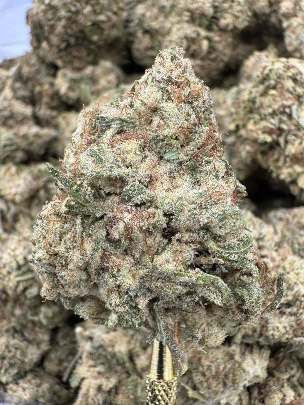 Florida Kush THCP hemp flower buds for bulk wholesale, close-up