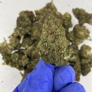 Lemon Octane CBD Flower