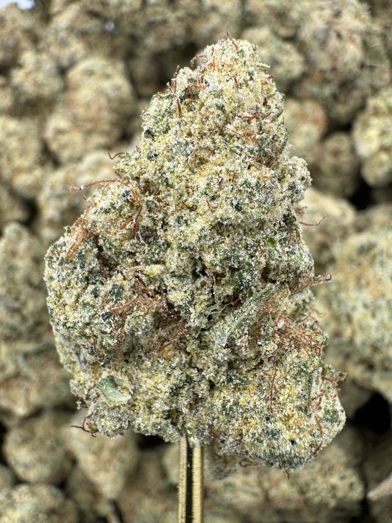 Lemonati THCP hemp flower buds, bulk wholesale, close-up showing trichome coverage