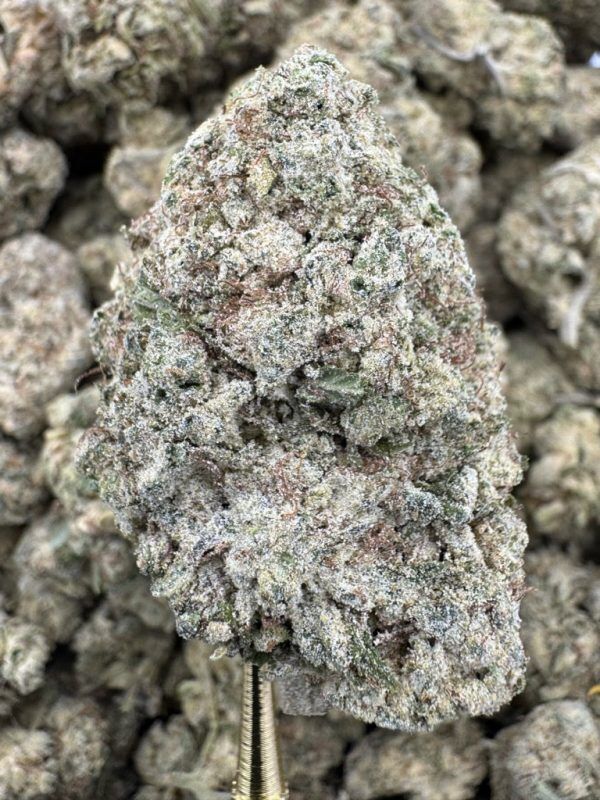Mint Chocolate Chip THCP hemp flower buds for bulk wholesale, close-up