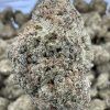 South Florida OG THCP Flower