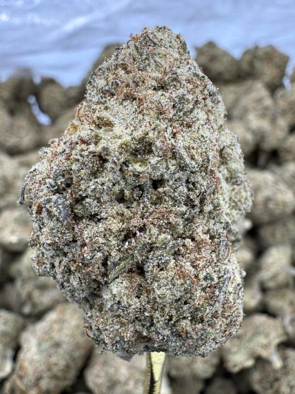 South Florida OG THCP hemp flower buds for bulk wholesale, close-up