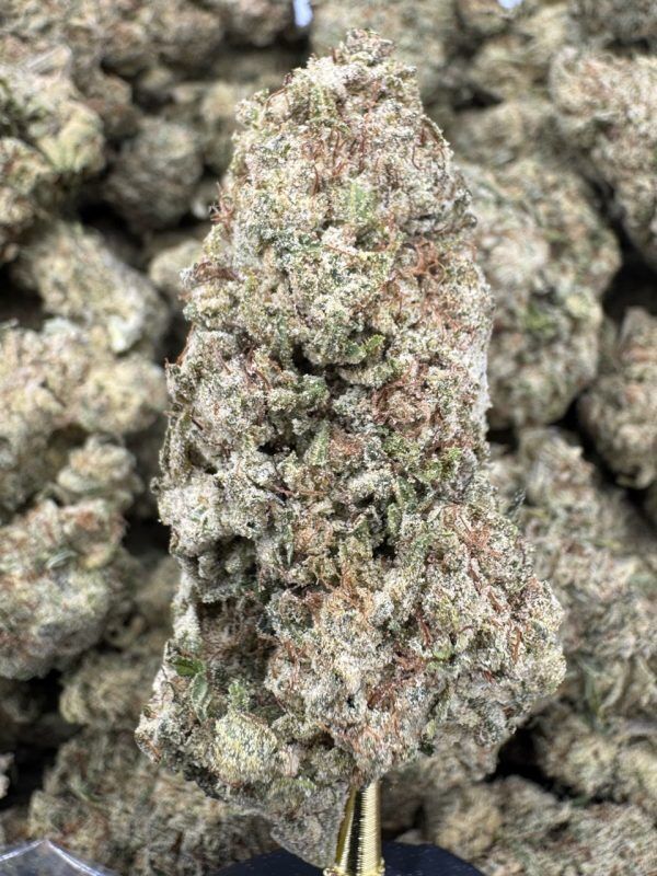 Strawberry Cough THCP hemp flower buds for bulk wholesale, close-up