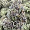 Sundae Driver THCP Flower