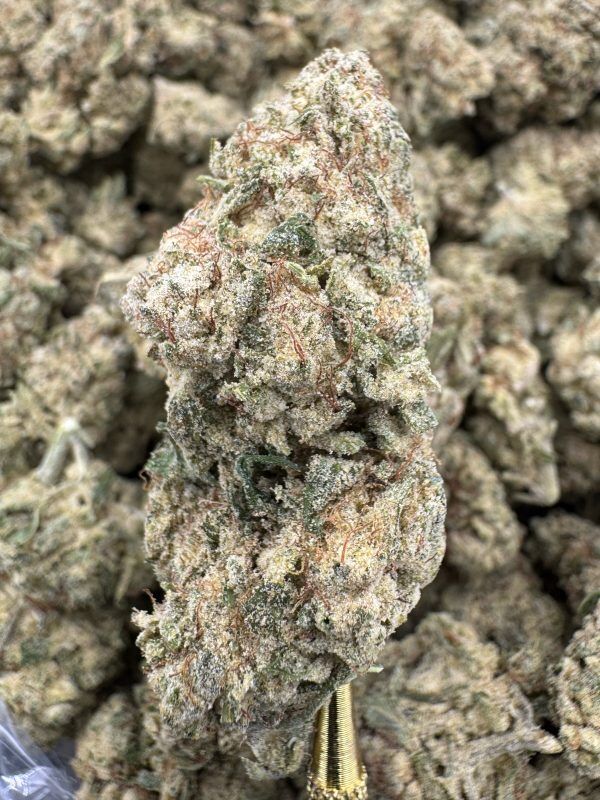 Super Lemon Haze THCP hemp flower buds for bulk wholesale, close-up