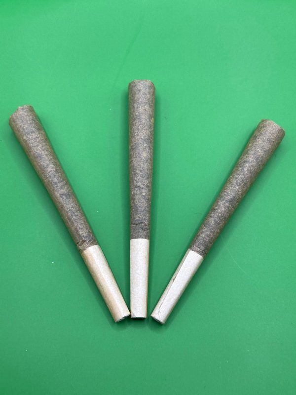 Three THCA hemp pre-rolls standing in a row with white filter tips