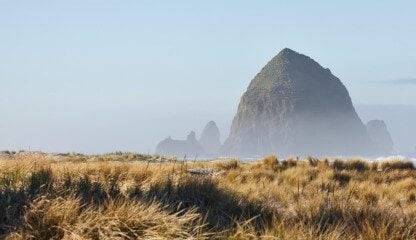 Bulk CBD Distributors in Jacksonville, Oregon