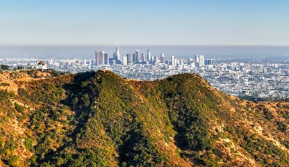 Bulk CBD Distributors in Los Angeles, California