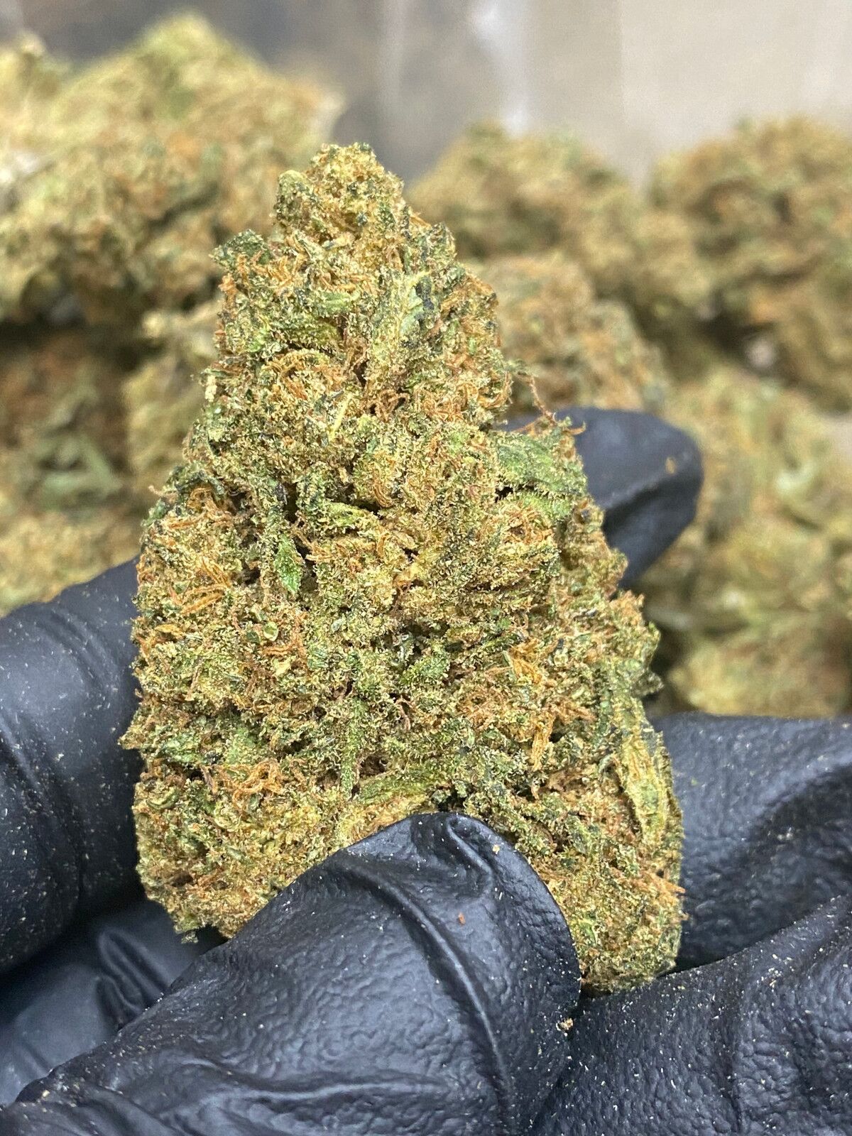 Lifter Cbd Flower Bulk Wholesale Hemp Flower