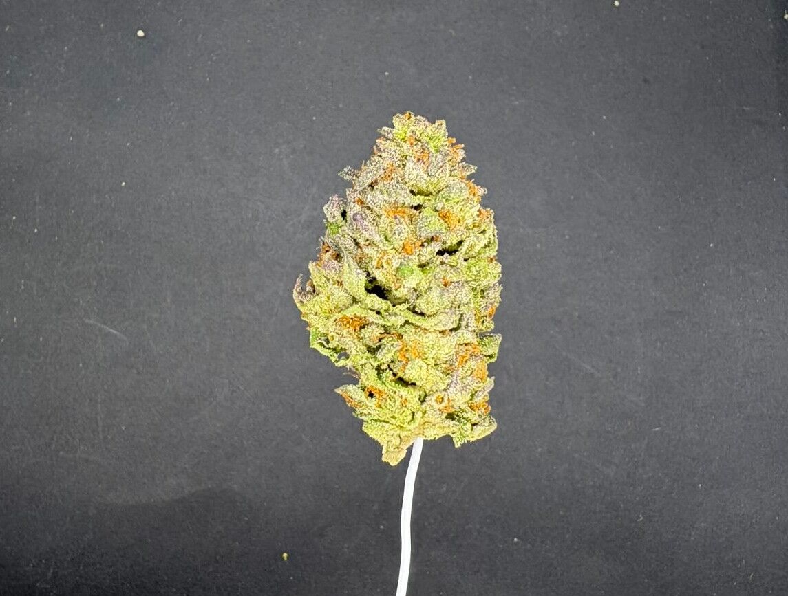 Thca Flower Bulk Wholesale Indoor Light Assist Exotic Grades