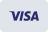 Visa payments accepted