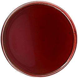 Cbt Distillate Cbt Distillate - Image 2