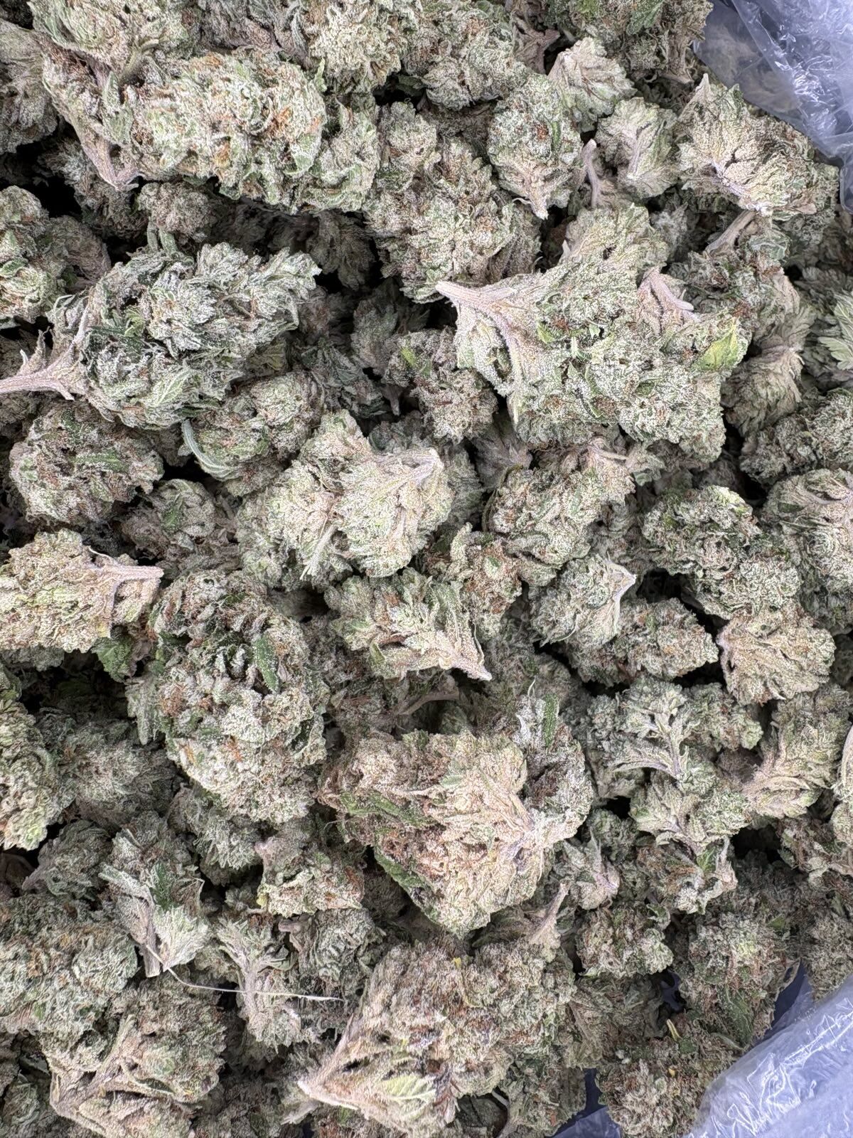 Mmog Light Assist Thca Flower Mmog Light Assist Thca Flower